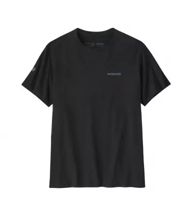 Patagonia Fitz Roy Icon Responsibilitee T-shirt Summer 2025