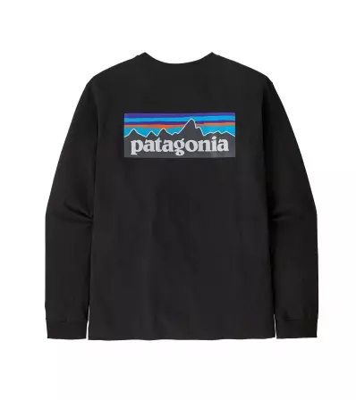 Blouse Patagonia Long-Sleeved P-6 Logo Responsibili-Tee M's Summer 2025