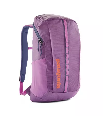 Раница Patagonia Black Hole Pack 25L