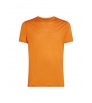 Icebreaker Men's Merino Blend 125 Cool-Lite Sphere SS Tee
