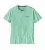 Patagonia Fitz Roy Icon Responsibilitee T-shirt Summer 2025