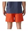 Patagonia Baggies 5